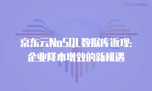 京东云云硬盘价格一览表：全面解析性能与性价比