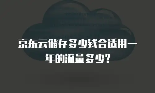 京东云储存多少钱合适用一年的流量多少？
