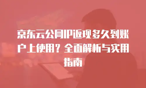 京东云弹性网卡租用多少合适？科学评估与实用指南
