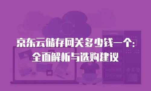 京东云储存网关多少钱一个：全面解析与选购建议