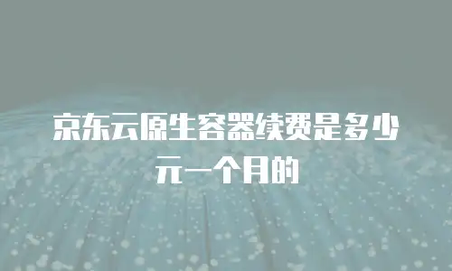 京东云原生容器续费是多少元一个月的