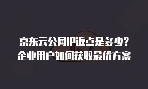 京东云公网IP返点是多少？企业用户如何获取最优方案