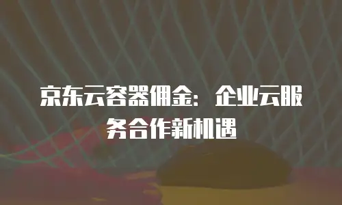 京东云储存费用多少钱一年的多少：企业用户如何选择高性价比方案