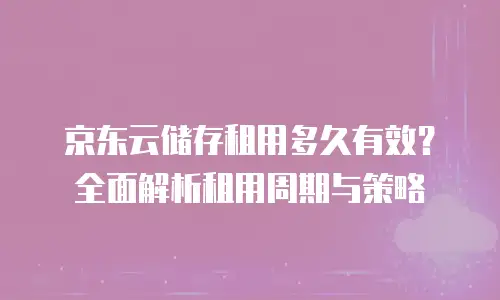 京东云数据分析多少钱一个：深度解析与实用建议