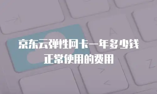 京东云弹性网卡一年多少钱正常使用的费用