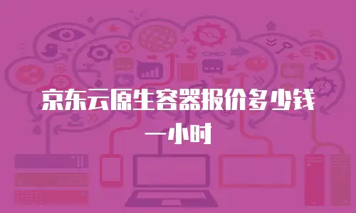 京东云原生容器报价多少钱一小时