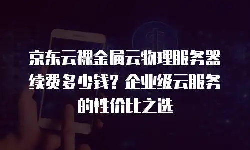 京东云容器收费标准是多少钱一个？全面解析与建议