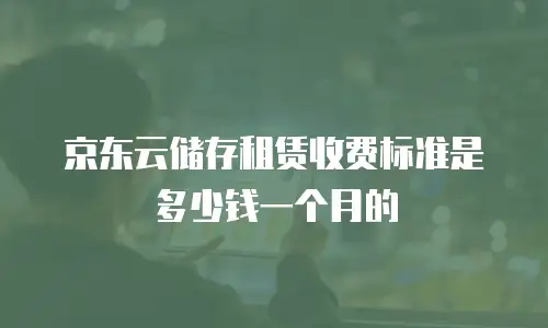 京东云储存租赁收费标准是多少钱一个月的