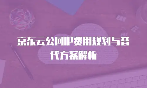 京东云公网IP费用规划与替代方案解析