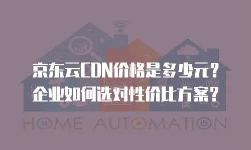 京东云容器购买条件要求多少钱一个？全面解析与选购指南