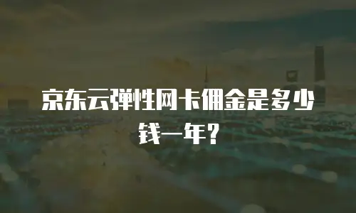 京东云弹性网卡佣金是多少钱一年？