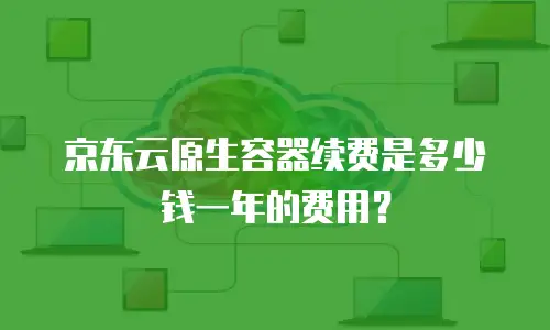 京东云原生容器续费是多少钱一年的费用？