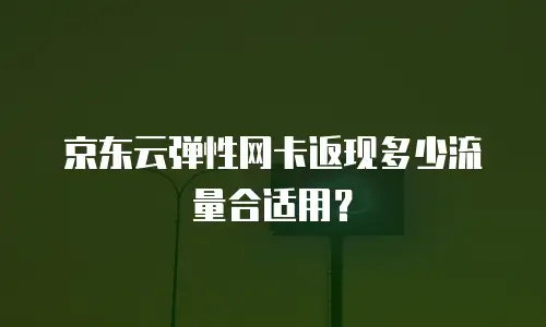 京东云弹性网卡返现多少流量合适用？