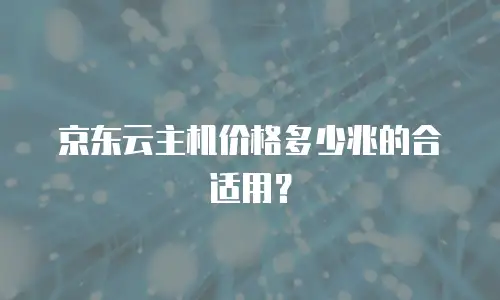 京东云主机价格多少兆的合适用？