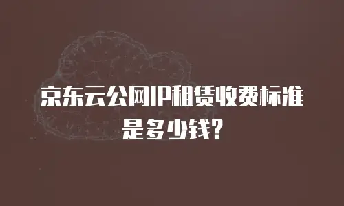 京东云公网IP租赁收费标准是多少钱？