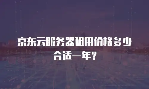 京东云服务器租用价格多少合适一年？