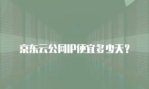 京东云公网IP便宜多少天？
