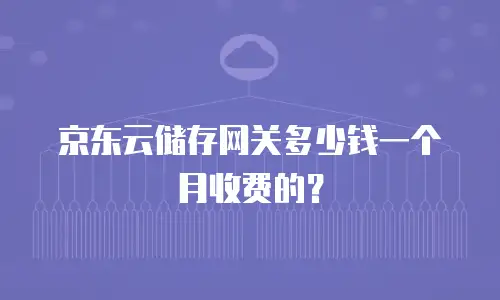 京东云云硬盘多少钱：全面解析与选购指南