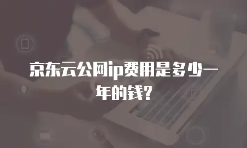 京东云公网ip费用是多少一年的钱？