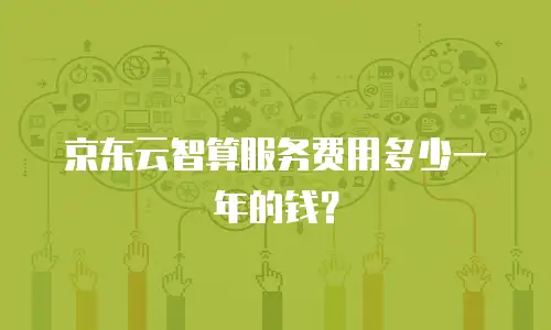 京东云智算服务费用多少一年的钱？
