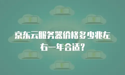 京东云服务器价格多少兆左右一年合适？