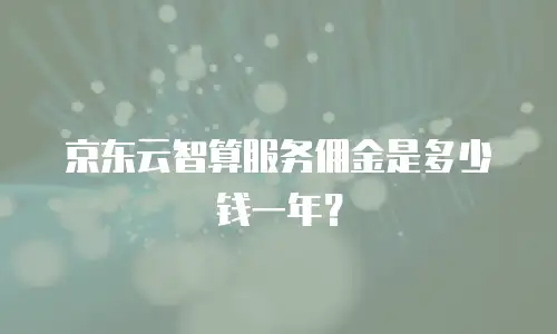 京东云智算服务佣金是多少钱一年？