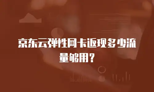 京东云弹性网卡返现多少流量够用？