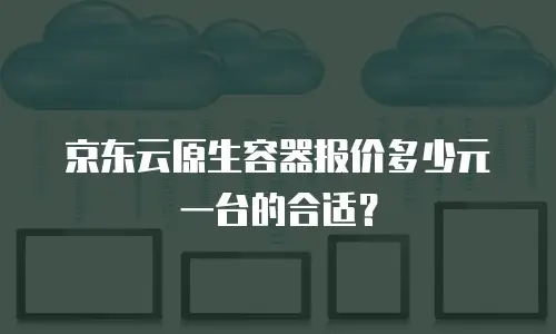 京东云原生容器报价多少元一台的合适？