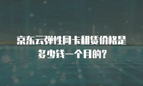 京东云弹性网卡租赁价格是多少钱一个月的？