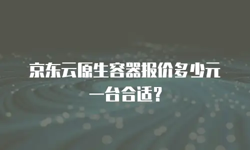 京东云原生容器报价多少元一台合适？