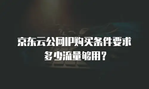 京东云公网IP购买条件要求多少流量够用？