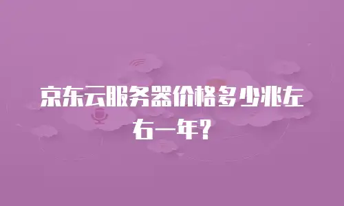 京东云服务器价格多少兆左右一年？
