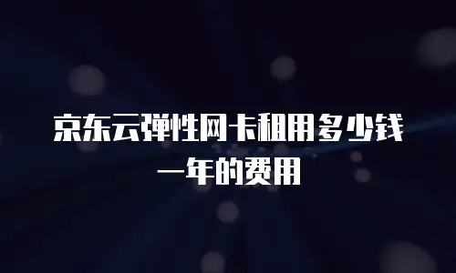京东云弹性网卡租用多少钱一年的费用
