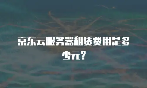 京东云服务器租赁费用是多少元？
