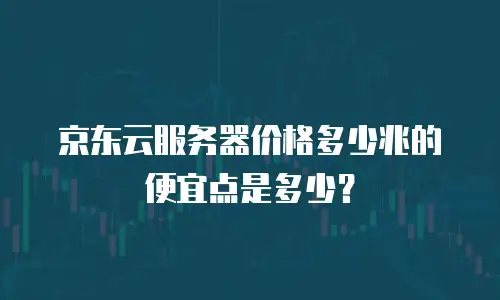 京东云服务器价格多少兆的便宜点是多少？