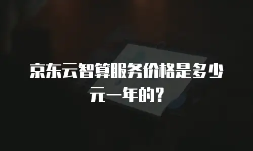 京东云智算服务价格是多少元一年的？