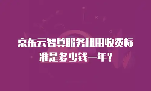 京东云智算服务租用收费标准是多少钱一年？