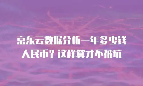 京东云数据分析一年多少钱人民币？这样算才不被坑