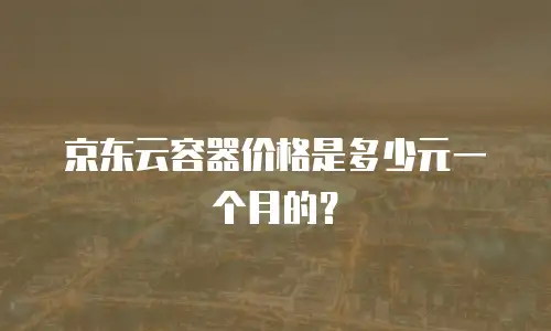 京东云容器价格是多少元一个月的？