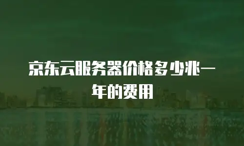 京东云服务器价格多少兆一年的费用