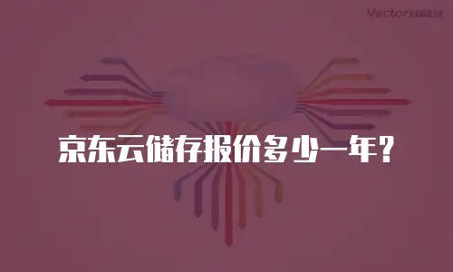 京东云储存报价多少一年？