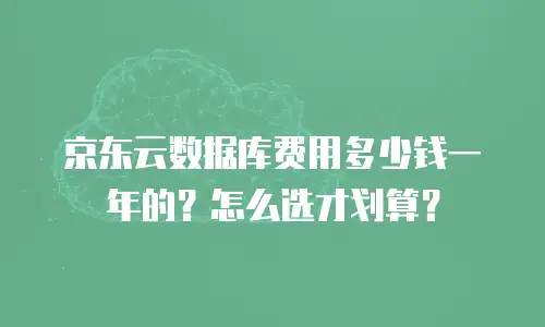 京东云服务器多少钱一个？全面解析与选购指南