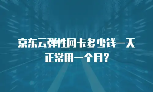 京东云弹性网卡多少钱一天正常用一个月？