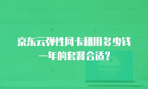 京东云弹性网卡租用多少钱一年的套餐合适？