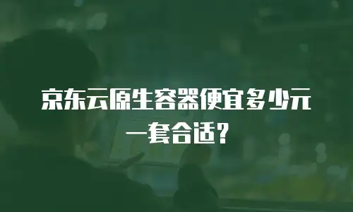 京东云原生容器便宜多少元一套合适？