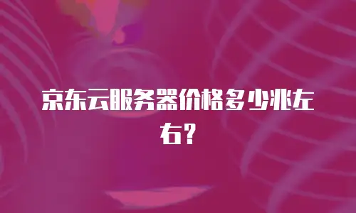 京东云服务器价格多少兆左右？
