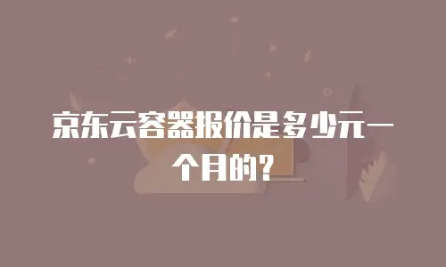 京东云容器报价是多少元一个月的？