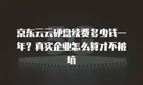 京东云云硬盘续费多少钱一年？真实企业怎么算才不被坑
