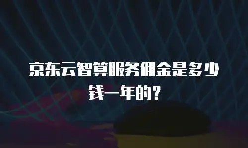 京东云智算服务佣金是多少钱一年的？