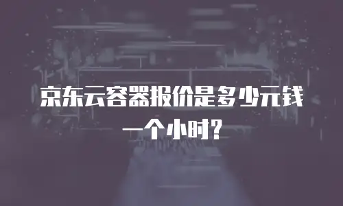 京东云容器报价是多少元钱一个小时？
